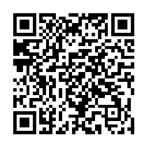 伏魔山和巨岩部落的舰队双方至少都有三大化灵初期强者二维码生成