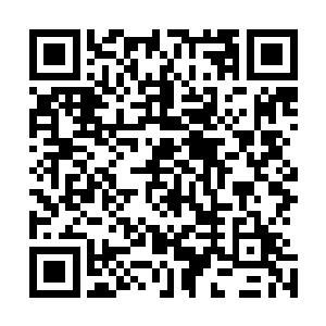 伐木森林在许多情报机构的危险评级中和蛮荒是一个档次的二维码生成
