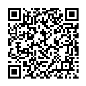 休整完毕的众人悄然在岗哨两旁的树林里完成了集结二维码生成