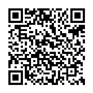 众人一眼就看到围在九原大棚屋外看热闹的人群二维码生成