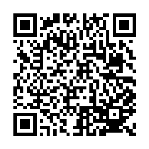 众人也感受到过几股从海底下方传来的惊天气息二维码生成