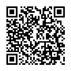 众人人看着平时不爱说话的小赵出声反对董事长二维码生成