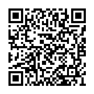 众人从新将目光汇聚在前方虚空那七道口子之上二维码生成
