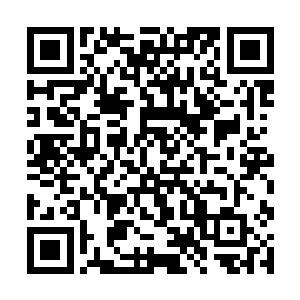 众人似乎是因为尹乐生的不合作导致自己受到了牵连二维码生成