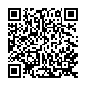 众人全都屏息紧张的盯着前面这四十名达标的中阶令主名字来二维码生成
