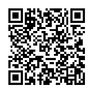 众人刚刚升起的希望被苏佳怡一句话再次陷入绝望中二维码生成