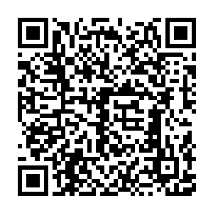 众人只感觉一股无比恐怖的天地元气直接朝着他们的身上狂涌而来二维码生成
