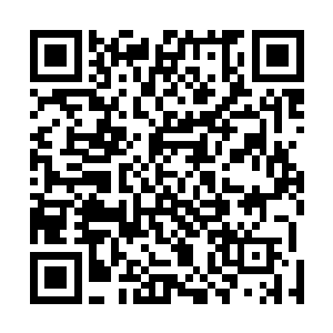 众人在想起那数量惊人的鼬的一双双饱含智慧的黑亮眼睛二维码生成