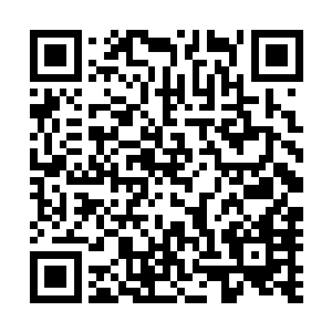 众人在码头专做迎接贵宾之用的大厅里商议着去哪里住下时二维码生成