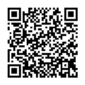 众人就看着维尼就这么背着马文一步一步地走出二维码生成