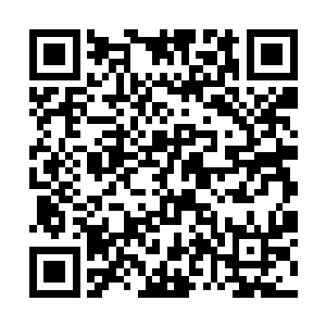众人已经默默运转灵力准备对付随时可能出现的危险二维码生成