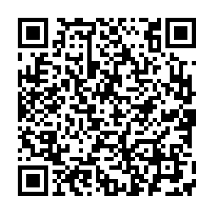 众人才惊讶地发现建立了如此惊世功勋的雷林还是刚刚26岁的青年二维码生成