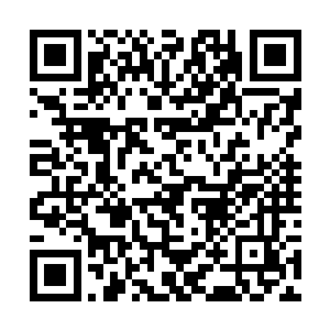 众人摇摆不定之中便是看到冰面上多出一个个冰窟窿二维码生成