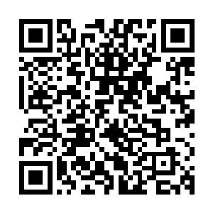 众人期待已久的那位会所的头牌琴心姑娘却是缓缓的登台上来了二维码生成