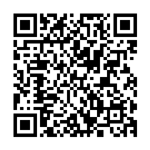 众人本来被塞佛和崔妮蒂吸引过去的目光再次转移到屏幕之上二维码生成