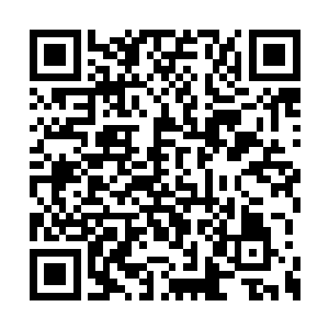 众人正奇怪南极老祖大喜的日子弄这一幕干什么二维码生成