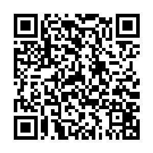 众人甚至能看到一些体型如同一座方圆数里大小浮岛的巨大海兽二维码生成