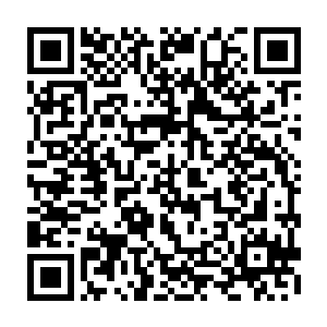 众人的注意力也彻底从那疑似仙力遽爆前奏的仙力绳上转移回了紫色光点上二维码生成