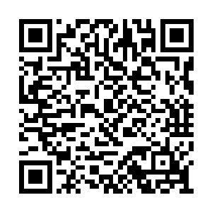 众人的注意力都集中在张诗义和他周围几人身上二维码生成