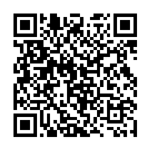 众人的目光不由得都集中到了那厅中的雕花檀木柜上二维码生成