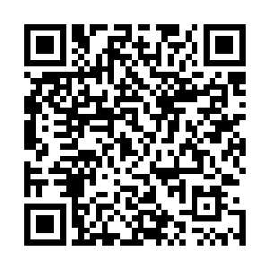 众人的目光也是瞬间由长生事务所看向了那不断颤抖的地面二维码生成