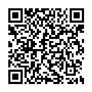 众人的目光也是第一时间的就聚焦在他的身上面二维码生成