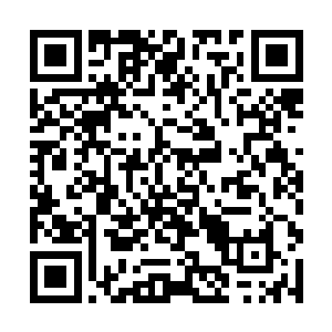众人的目光便不由自主地都随着冷寒的目光望了过去二维码生成