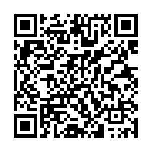 众人的目光聚集在了狮鹫背上的那个木精灵女孩身上二维码生成