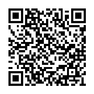众人的身形也逐渐被包裹在一个粉红色的世界中二维码生成