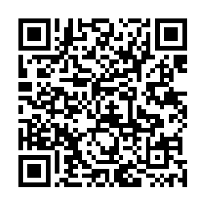 众人皆是将目光聚集在了园子中那个清然而立的少女身上二维码生成