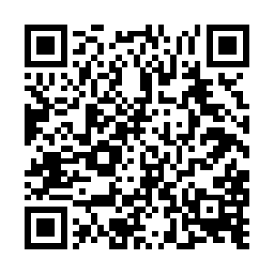 众人目不转睛地盯着率先开始的巫师学徒组的比赛二维码生成