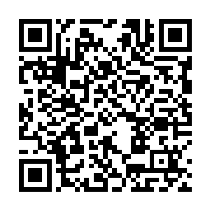 众人看着两个同样年纪轻轻却能力出众的小将打的正烈二维码生成