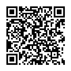 众人看着粉果树上挂着的一个个的粉果有点可惜二维码生成