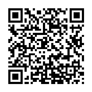 众人眼睁睁看着慕容仙儿不小心扯下了他半个西装袖子二维码生成