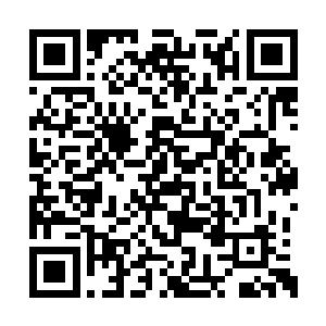 众人纷纷表示没有见过这么凶猛的文学新人作家二维码生成