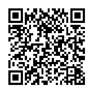众人终于决定由九牧带领一支二十余人的队伍前往救援冷轩二维码生成
