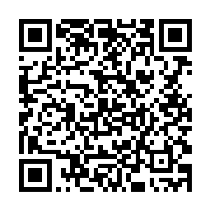 众人终于知道桃花源是怎么对待那些失踪的金丹真人二维码生成