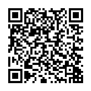众人经过了整整一天的讨论方才确定了最终的版本二维码生成