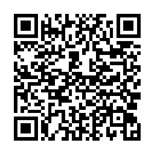 众人绕到山背后降落之后在巨石山林中找好位置隐藏下来二维码生成