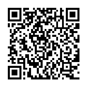 众人自动的把池佳一归结到傻子或者是自大狂之中了二维码生成