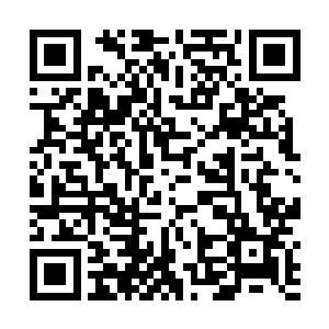 众人藏身的隐蔽树林范围内的所有树木上半截齐齐飞走二维码生成