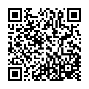 众人见这场持续了一整夜的收宠仪式终于结束也都松了口气二维码生成