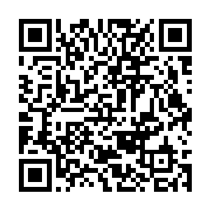众人这一次算是明白这魂石到底有什么用处了……二维码生成
