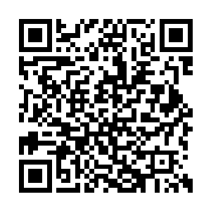 众人都以为晏绮宁会比晏锦更会讨晏老太太欢心二维码生成