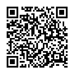 众人都在潜望镜之中盯着这个漂浮在半空的庞然大物发呆二维码生成