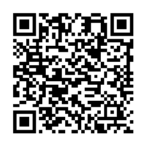 众人都在等着门下最精英的后辈弟子从青云古地中出来二维码生成