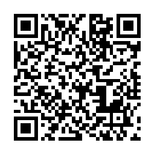 众人都把目光盯在了多目道长手中那颗颜色呈现淡紫色二维码生成