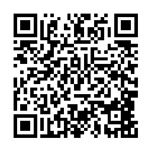 众人首先看向的并不是身前一堆半人高的仙草堆二维码生成