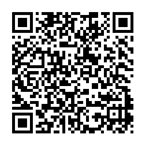 众修士就认定那石像之阵两旁的两个山峰之内的宝物被岳京一个人所得二维码生成
