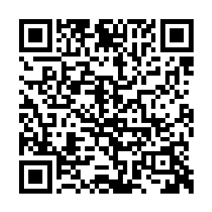 众圣只是站在地面之上也比九级台阶矮不上多少二维码生成